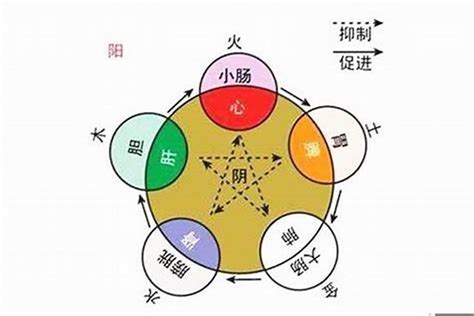 庭字五行|庭的五行属什么,庭字的五行属性,庭的寓意